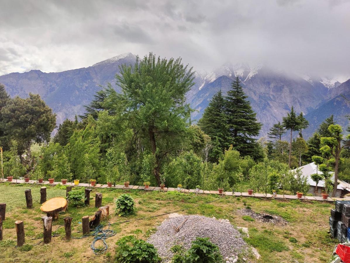 Silk Route Home Stay Калпа Екстериор снимка